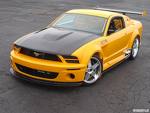 mustang.jpg